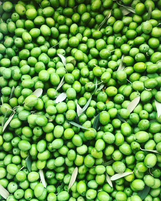 YENİ MAHSUL İlk Hasat Soğuk Sıkım Naturel Sızma Zeytinyağı - 2 Lt. Teneke