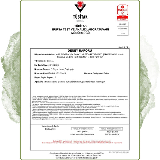 Olgun Hasat Natürel Sızma Soğuk Sıkım Zeytinyağı 250 ml – 0.3 Asit - Yeni Mahsul Nicaea Zeytinyağı