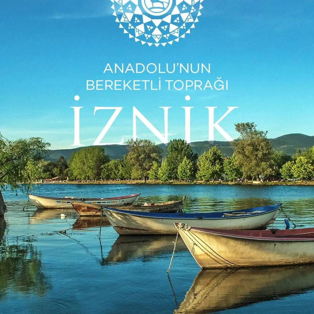 İznik: Tarih, Kültür ve Doğa Arasında Eşsiz Bir Yolculuk - Nicaea Zeytinyağı