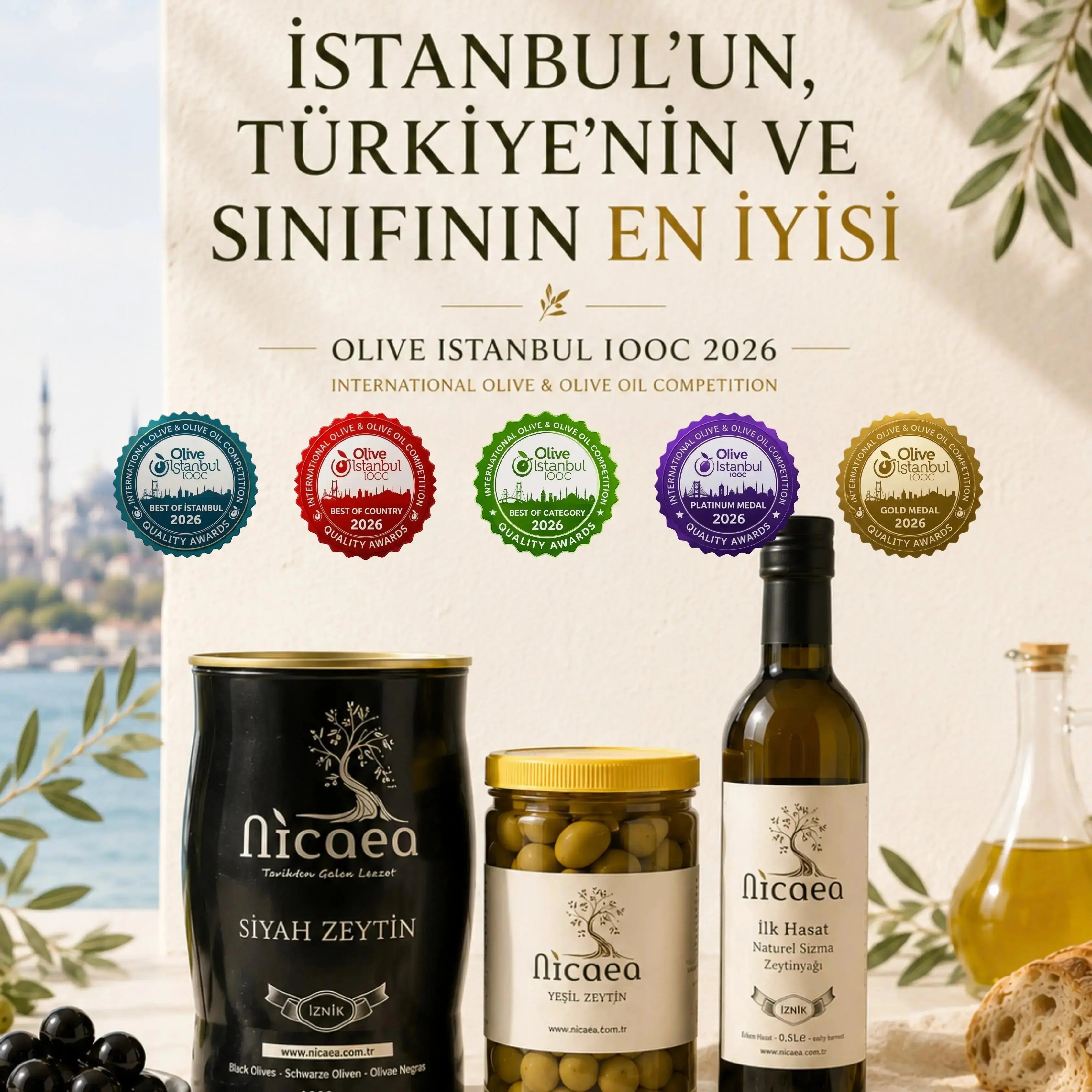 İznik Kuru Sele Zeytin - Doğal Az Tuzlu 1 Kg – Nicaea Zeytinyağı