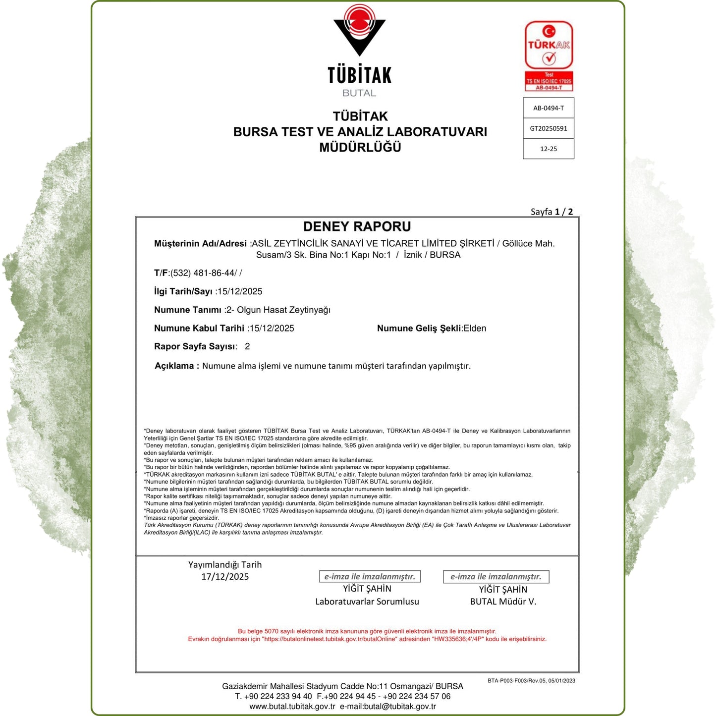 Olgun Hasat Natürel Sızma Soğuk Sıkım Zeytinyağı 0,3 Asit 5 Lt - Yeni Mahsul