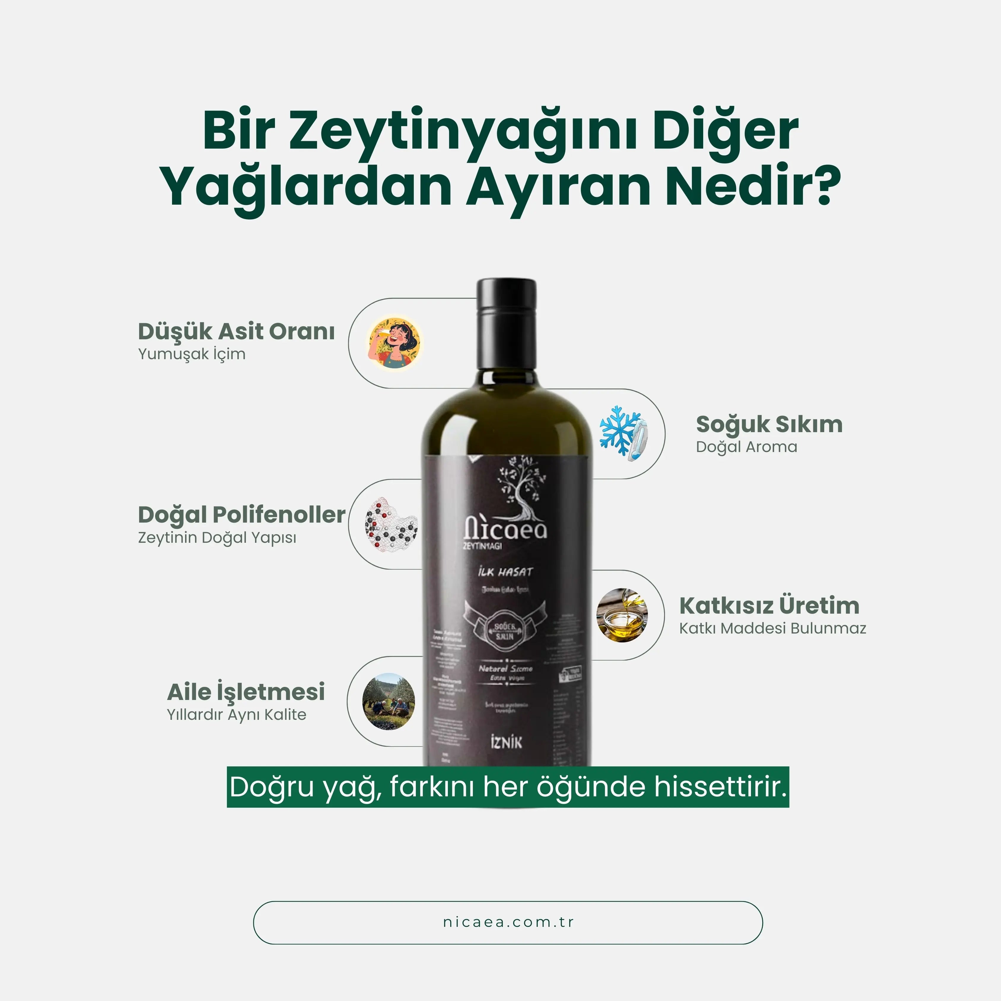 İlk Hasat Zeytinyağı 2 Lt - Soğuk Sıkım Natürel Sızma – Nicaea